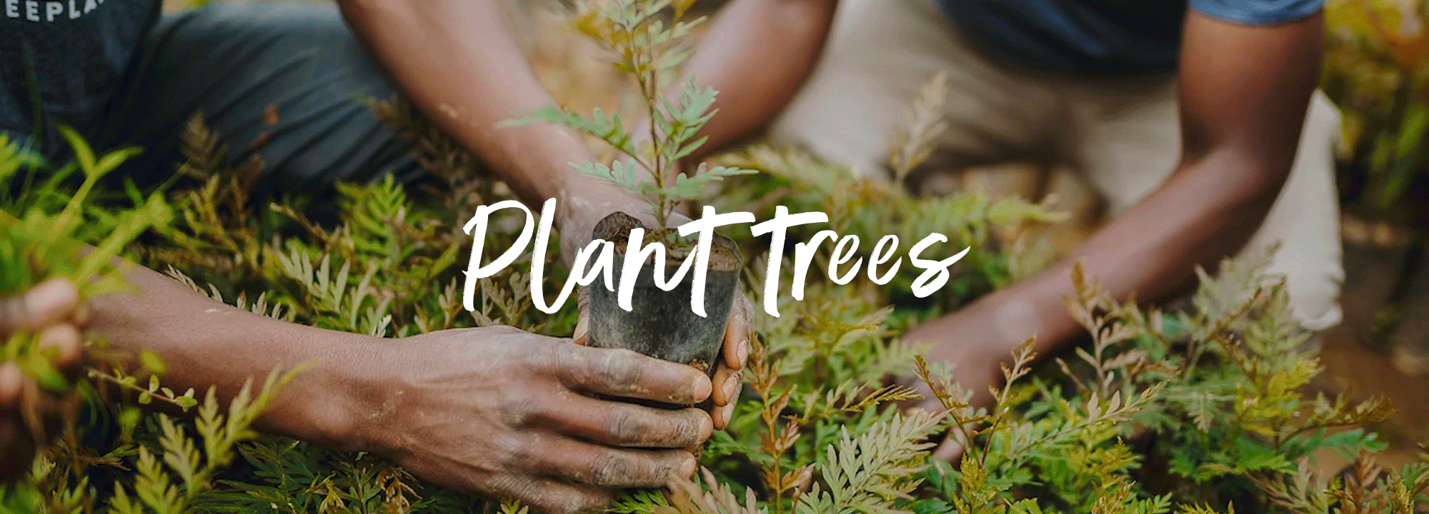 Hero Banner GIF Hero Banner GIF